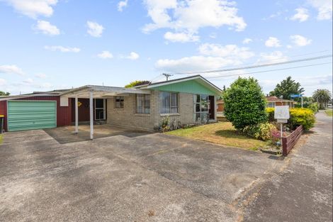 Photo of property in 28a Julia Street, Pahiatua, 4910