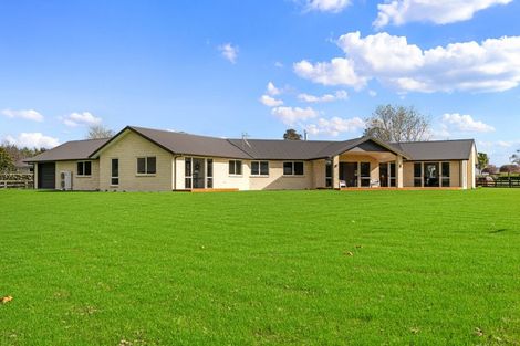 Photo of property in 15 Cameo Place, Matamata, 3472