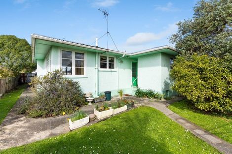 Photo of property in 40 Dublin Street, Whanganui, 4500