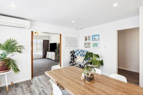 Photo of property in 56 Salisbury Street, Levin, 5510