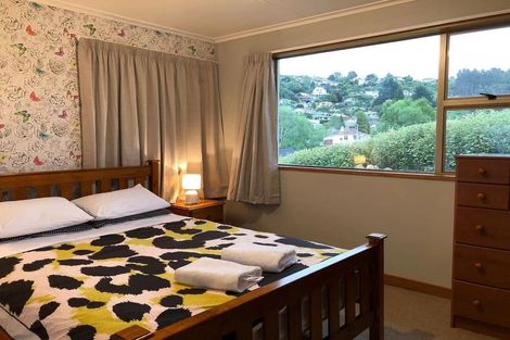 Photo of property in 19 Culloden Street, Kaikorai, Dunedin, 9010