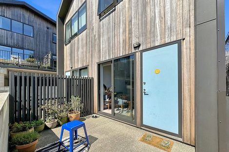 Photo of property in Aniva Terrace, 12 Arney Street, Newtown, Wellington, 6021