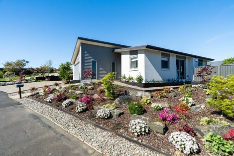 Photo of property in 38 Severn Street, Green Island, Dunedin, 9018
