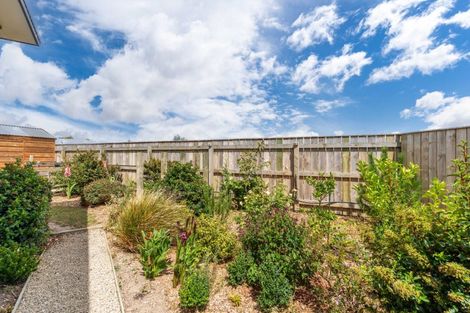 Photo of property in 91 Gordon Street, Lansdowne, Masterton, 5810