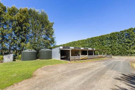 Photo of property in 67d Purangi Road, Purangi, Whitianga, 3591