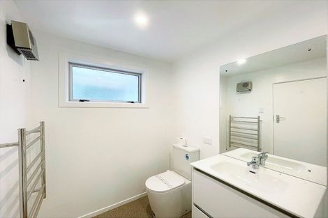 Photo of property in 29 Tyne Street, Roslyn, Dunedin, 9010