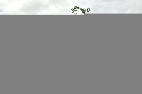 Photo of property in 10 Turnbull Crescent, Morrinsville, 3300