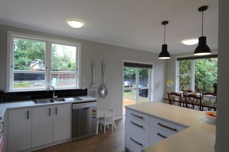 Photo of property in 60 Wakeman Street, Pahiatua, 4910