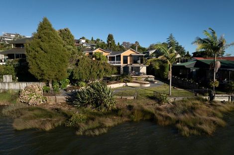 Photo of property in 119 Haukore Street, Hairini, Tauranga, 3112