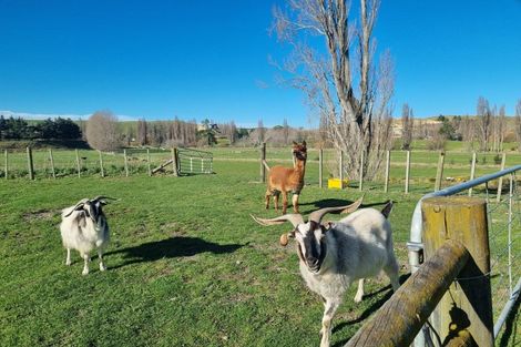 Photo of property in 2/82 Station Road, Takapau, Waipukurau, 4281