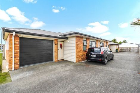 Photo of property in 43a Campbell Street, Frankton, Hamilton, 3204
