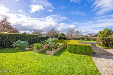 Photo of property in 60 Cowley Drive, Leamington, Cambridge, 3432