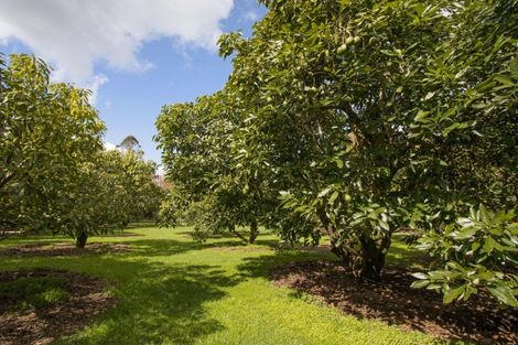 Photo of property in 266b Hot Springs Road, Tahawai, Katikati, 3178