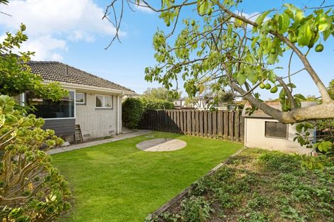 Photo of property in 123 Mahoe Street, Melville, Hamilton, 3206