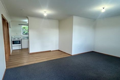 Photo of property in 117 Victoria Avenue, Hokowhitu, Palmerston North, 4410