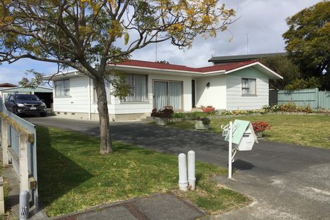 Photo of property in 60 Leicester Avenue, Tamatea, Napier, 4112