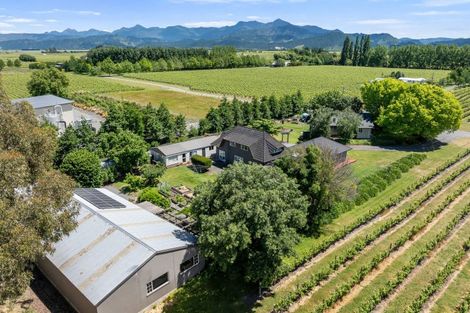 Photo of property in 19 Terrace Road, Renwick, 7204