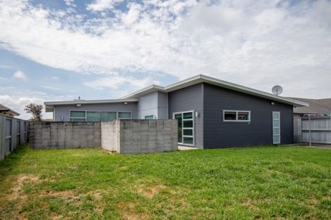 Photo of property in 40 Benner Drive, Ngatea, 3503