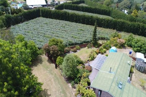 Photo of property in 78 Plummers Point Road, Whakamarama, Tauranga, 3172