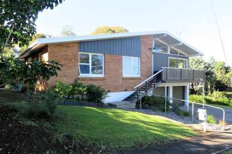 Photo of property in 100 Herewaka Street, Thames, 3500