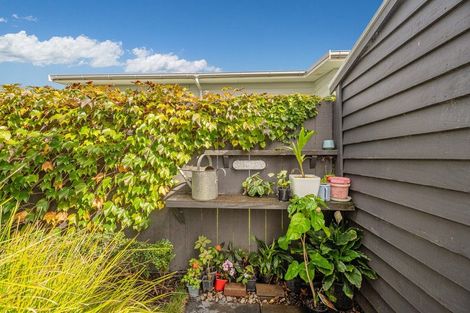 Photo of property in 28 Motukorure Parade, Cooks Beach, Whitianga, 3591