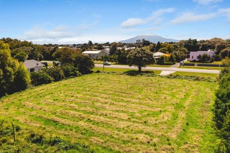 Photo of property in 84 South Road, Manaia, 4612