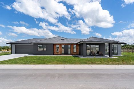 Photo of property in 17 Madison Street, Carterton, 5713