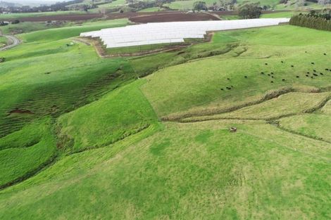 Photo of property in 31 Hull Road, Te Kohanga, Tuakau, 2693