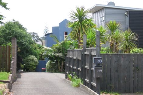 Photo of property in 207b Meola Road, Point Chevalier, Auckland, 1022