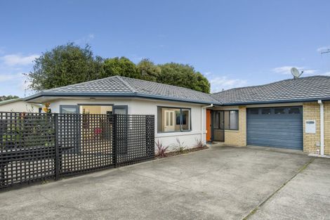 Photo of property in 63 Solomon Street, Brookfield, Tauranga, 3110