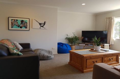 Photo of property in 20a Paterson Street, Mount Maunganui, 3116