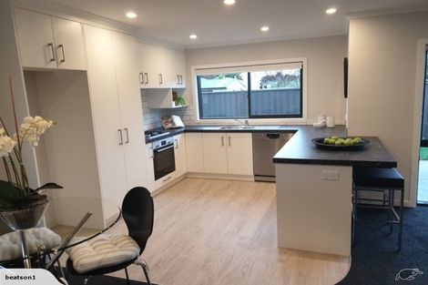 Photo of property in 1008c Frances Street, Akina, Hastings, 4122