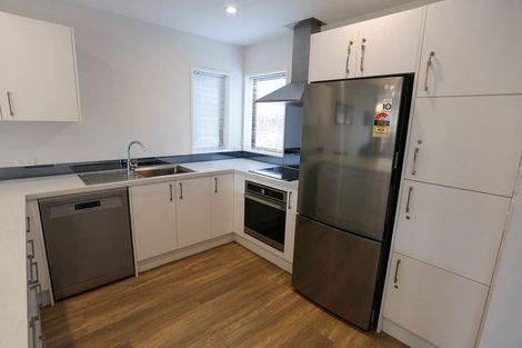 Photo of property in 29 Euston Street, Riccarton, Christchurch, 8041