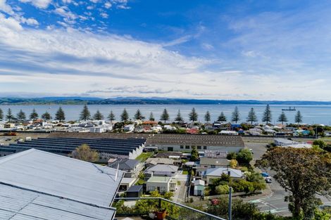 Photo of property in 18 Milton Terrace, Hospital Hill, Napier, 4110