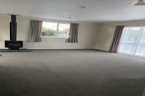 Photo of property in 151 Stanford Street North, Ashhurst, 4810