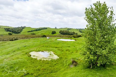 Photo of property in 215c Heatley Road, Whakapirau, 0583