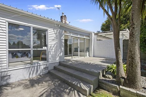 Photo of property in 119 Boundary Road, Claudelands, Hamilton, 3214