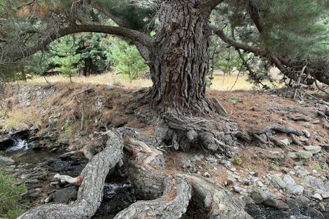 Photo of property in 42d Gladsmuir Road, Queensberry, Cromwell, 9383