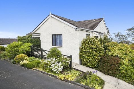 Photo of property in 25a Sheen Street, Roslyn, Dunedin, 9010