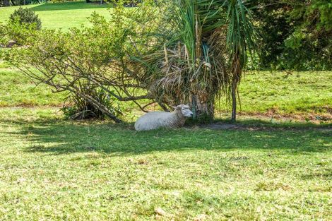 Photo of property in 101 Mount View Road, Thames, 3500