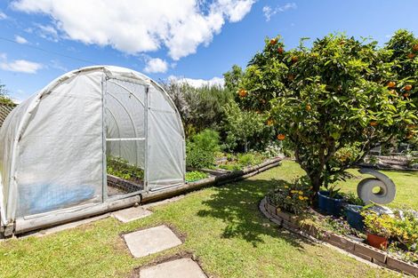 Photo of property in 104 Thorp Street, Motueka, 7120