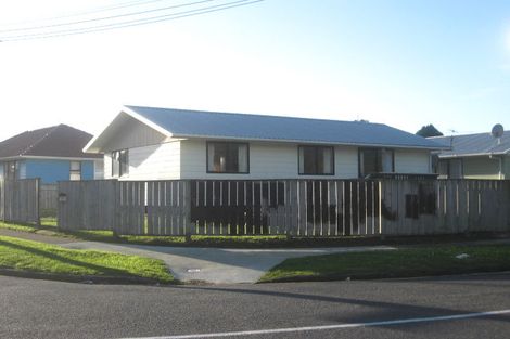 Photo of property in 135 Champion Street, Cannons Creek, Porirua, 5024