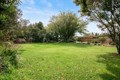 Photo of property in 13 Alexander Street, Katikati, 3129