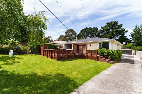 Photo of property in 7 Viscount Road, Waldronville, Dunedin, 9018