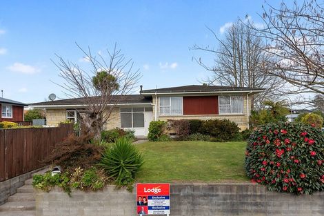 Photo of property in 2 Freemont Street, Chartwell, Hamilton, 3210