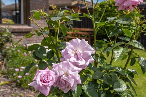 Photo of property in 30 Brooklyn Drive, Redwoodtown, Blenheim, 7201