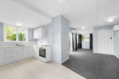 Photo of property in 53a Paul Crescent, Fairfield, Hamilton, 3214