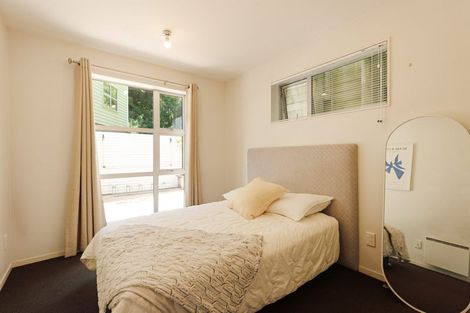 Photo of property in 3a Anderson Terrace, Mount Cook, Wellington, 6021