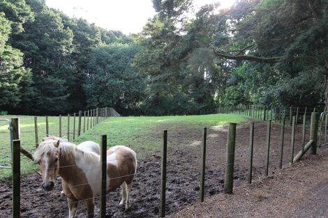 Photo of property in 288 Waiuku Road, Puni, Pukekohe, 2678