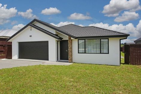 Photo of property in 130 Hitchen Road, Pokeno, 2402